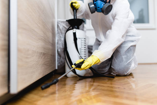 Best Pest Prevention Services  in Lonville, GA
