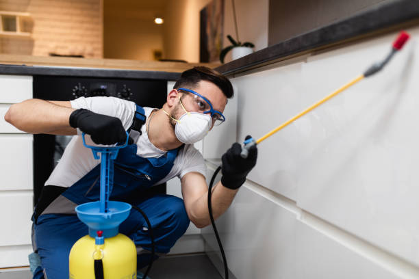 Best Pest Control Treatment  in Lonville, GA