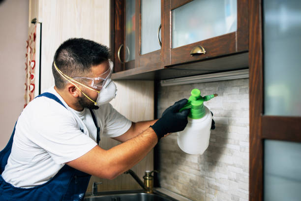 Best Exterminator Services  in Lonville, GA