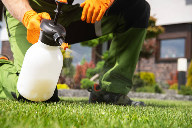 Best Pest Inspection Near Me  in Lonville, GA
