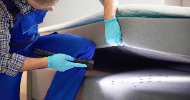 Best Local Pest Control Services  in Lonville, GA