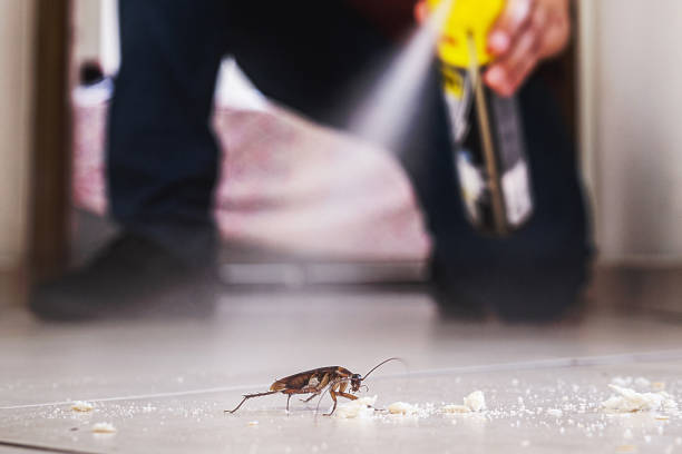 Professional Pest Control in Loganville, GA
